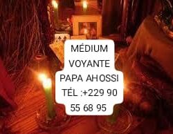 IMG-20231002-WA0002~2